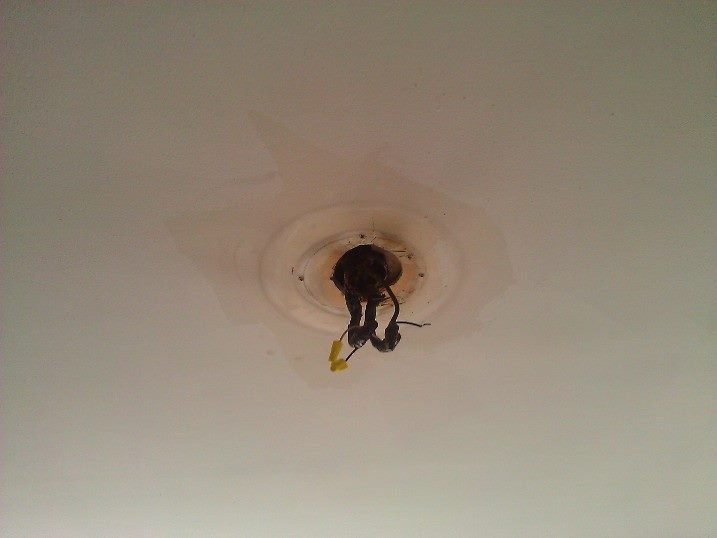 Exposed ceiling light wiring with medallion