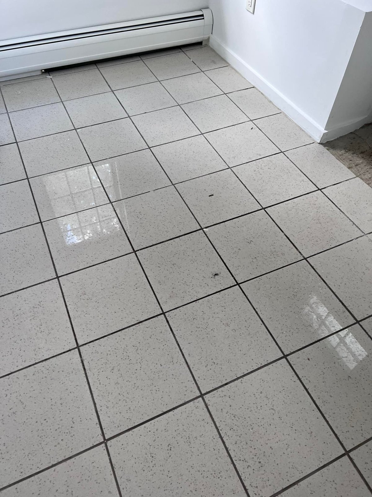 Speckled ceramic tile in one of the back rooms — coming up.