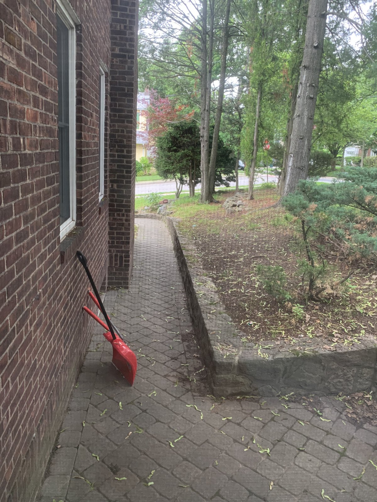 Yard Cleanup with the Red Shovel