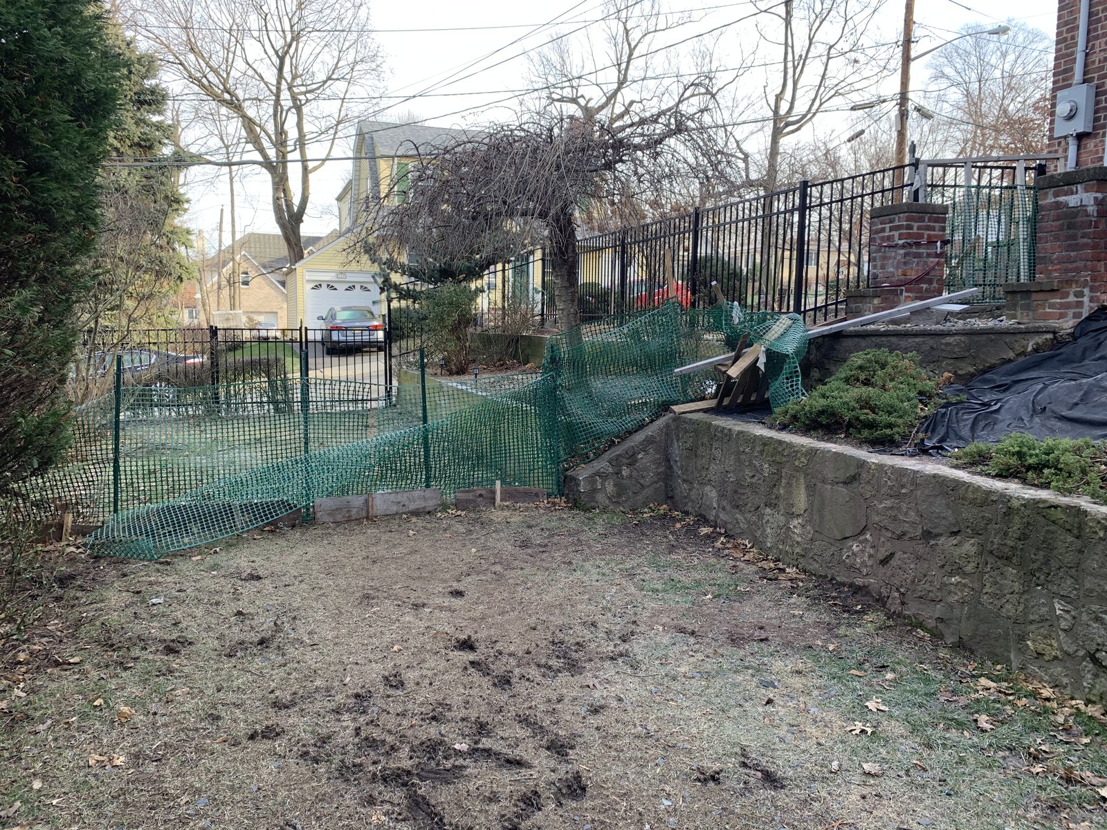 Fixing the Yard Fence and Mole Damage