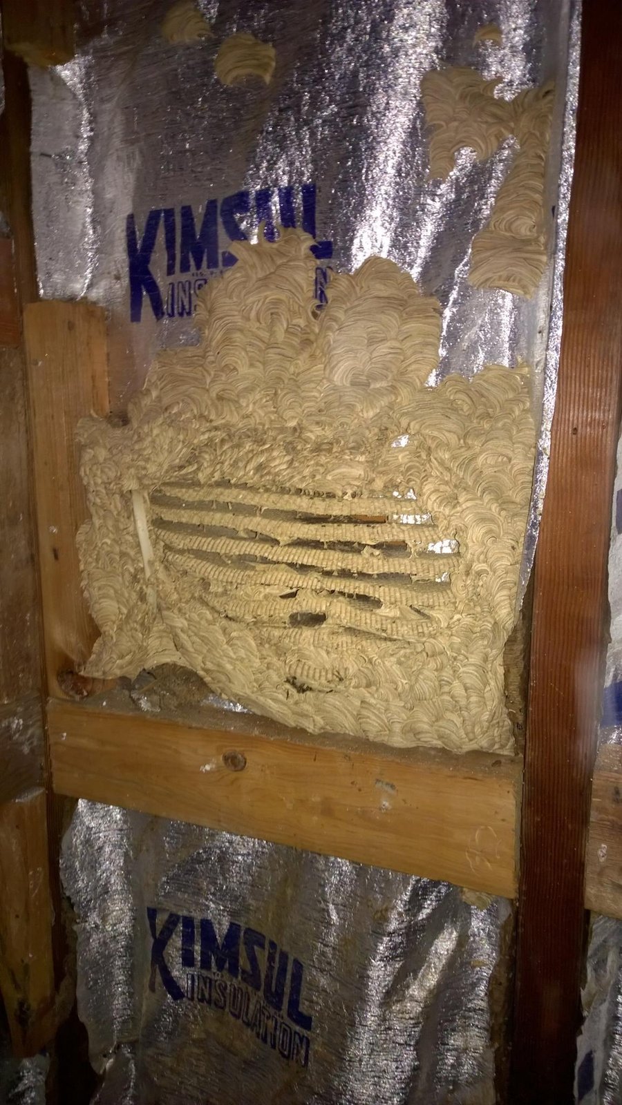Spray-foamed around the AC sleeve to seal up the gap I'd been getting drafts through.