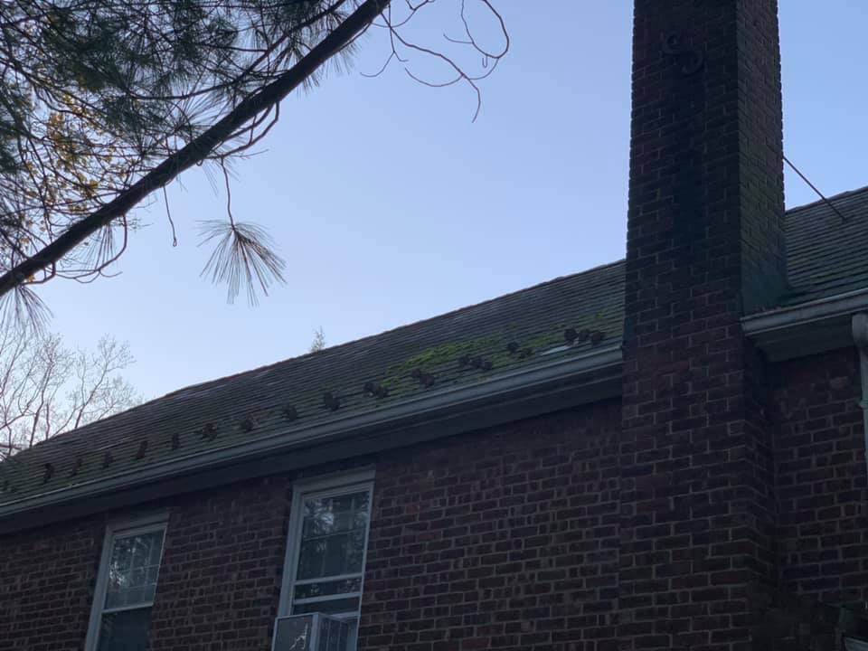 Moss and debris piled up against the chimney flashing — classic slow-leak setup that had to come off.