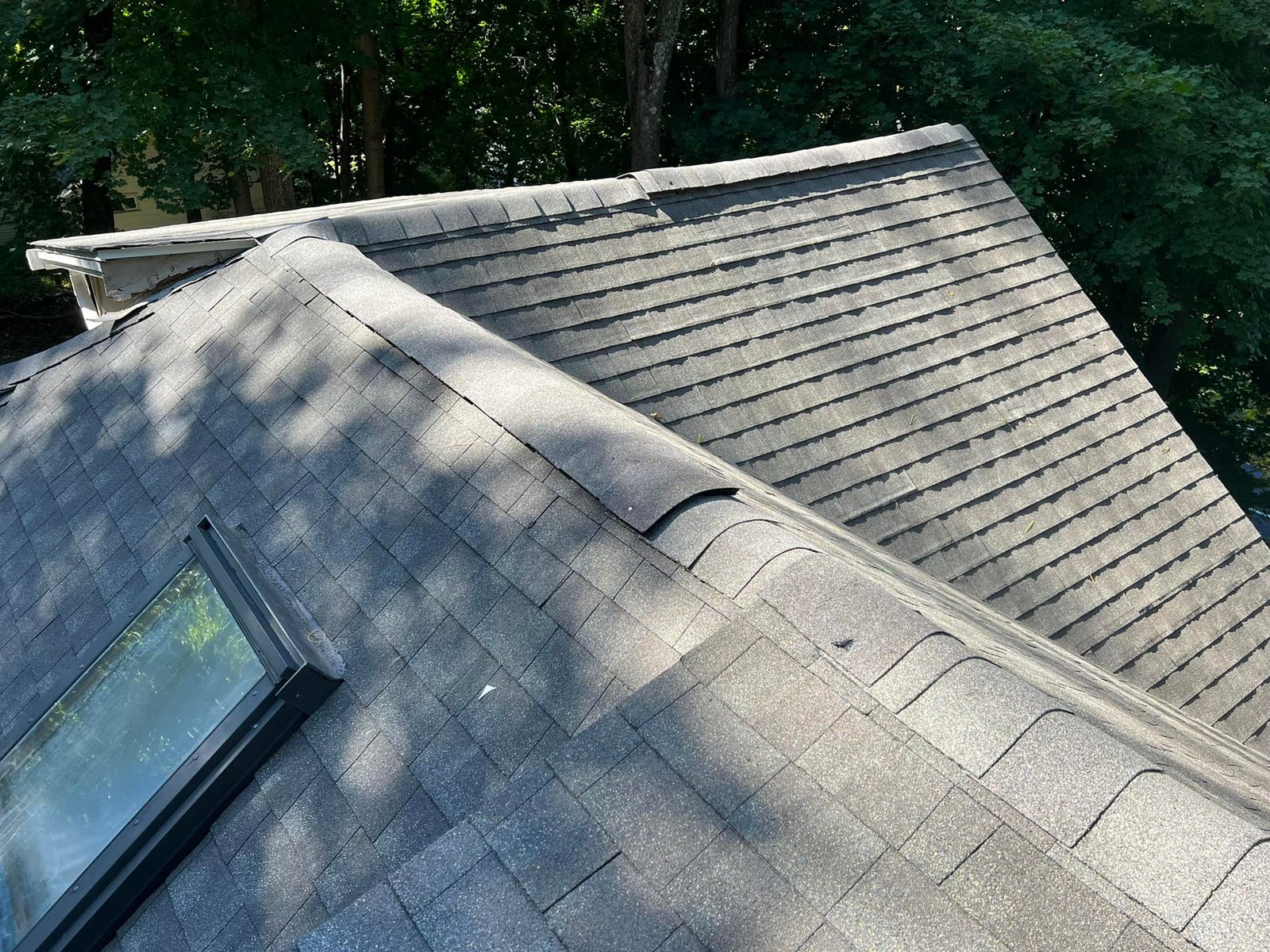Old shingles — ridge cap lifted, fascia cracked at the gutter, granules basically gone. Past due.