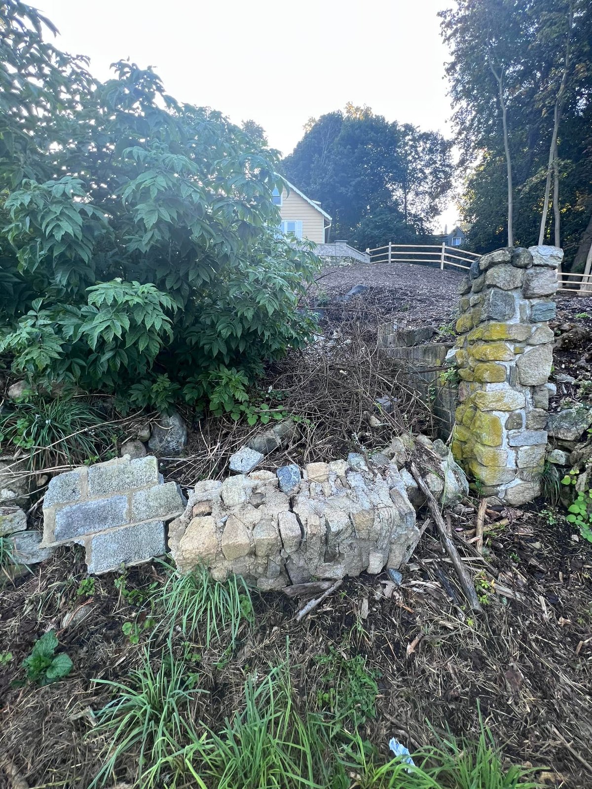 Started with this. Collapsed wall, leaning pillar, brush growing up through it.