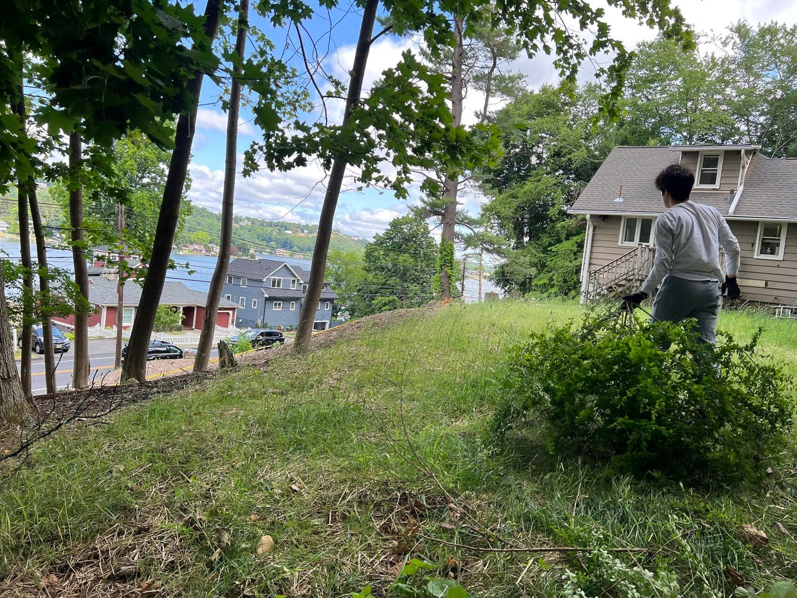 My son working the slope with the string trimmer. The brush was head-high before we started.