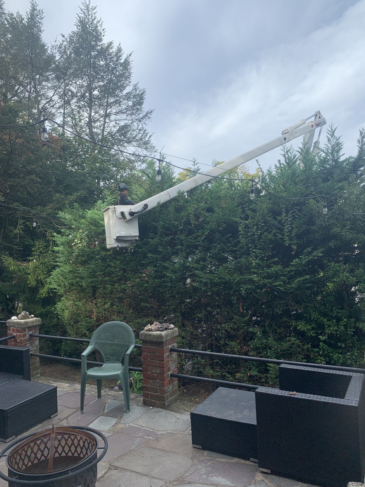 Crew in the bucket trimming the tall arborvitae back off the patio.